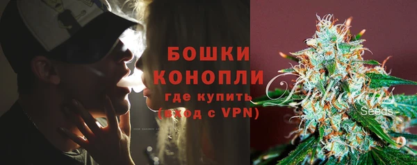 индика Балабаново