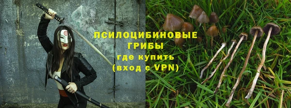 индика Балабаново