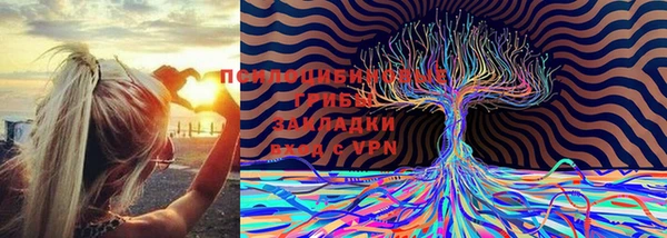 индика Балабаново
