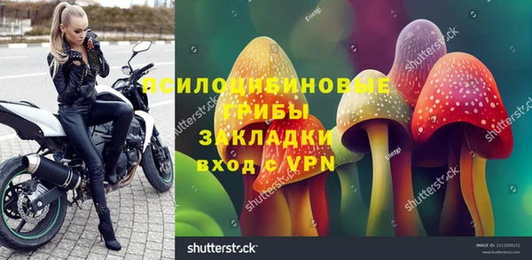 индика Балабаново