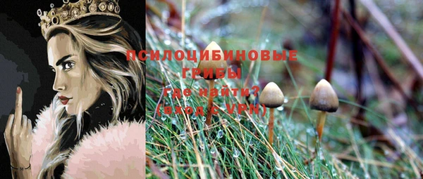 дурь Балахна