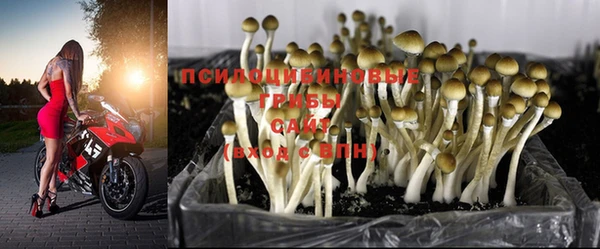 индика Балабаново