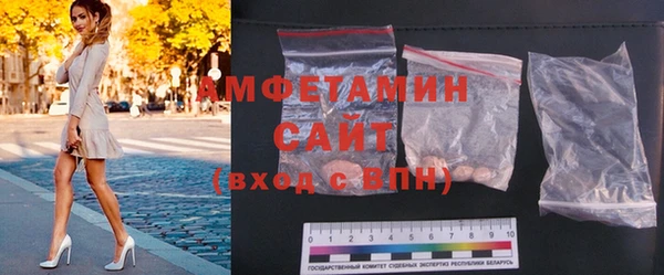 индика Балабаново