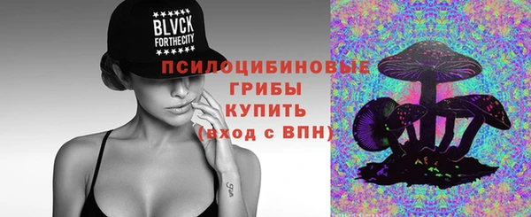 индика Балабаново