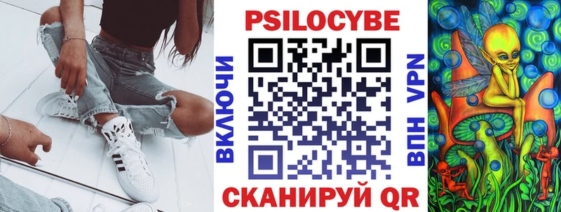 купить   Ясный  Галлюциногенные грибы Psilocybe 